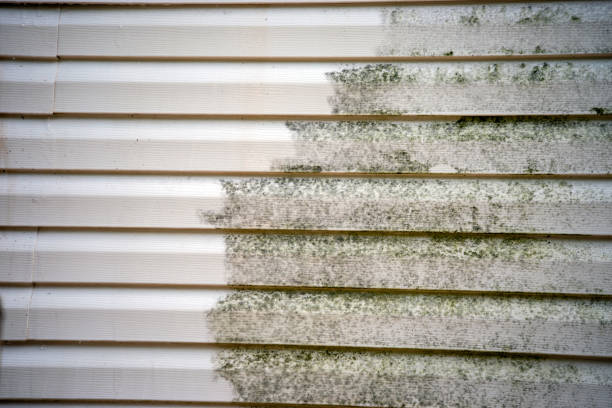 Best Yard Waste Removal  in Tower City, PA